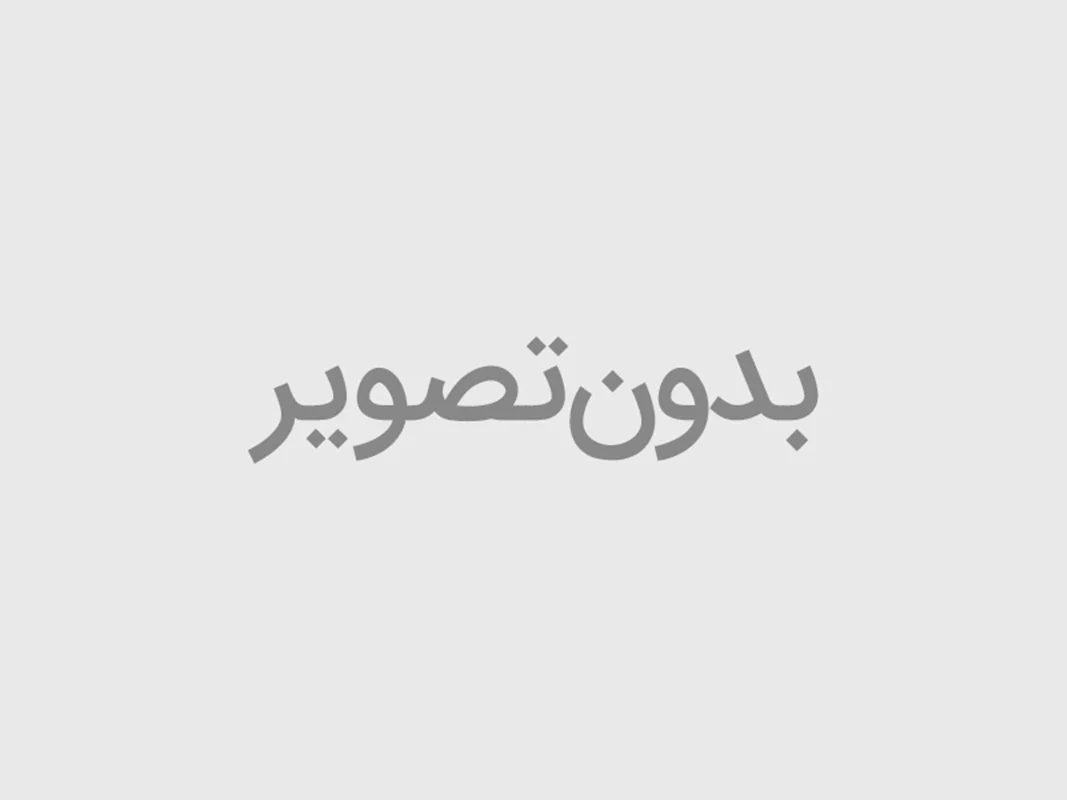 فیلتر هواکش تویوتا پرادو 6 سیلندر 31090-17801 طرح